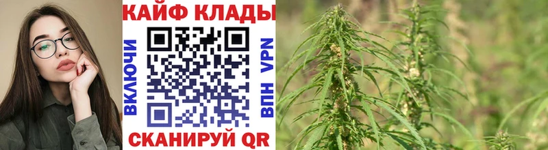 Как найти закладки Пенза Галлюциногенные грибы  Меф мяу мяу  A PVP  ГАШ  НБОМе  Каннабис 