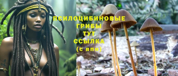 прущий лед Алзамай