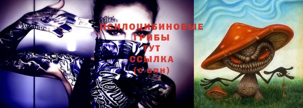 прущий лед Алзамай