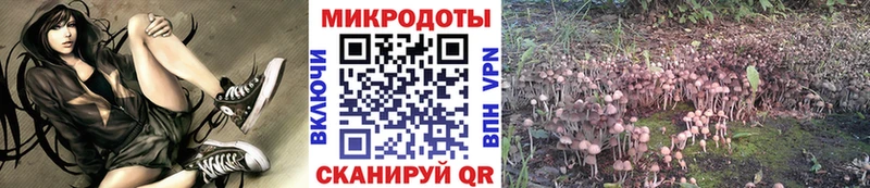 Псилоцибиновые грибы прущие грибы  Пенза 